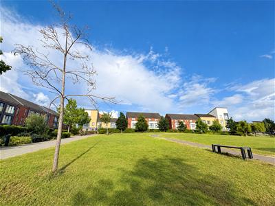 Picture 10